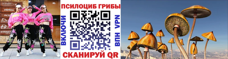 где продают наркотики  Кимры  Псилоцибиновые грибы мицелий 